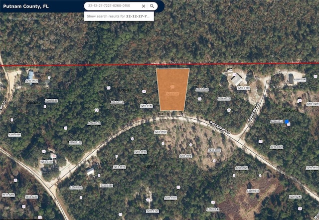 110 Sandpiper Ln, Georgetown FL, 32139 land for sale