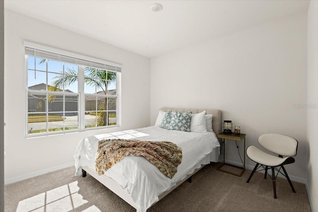 bedroom with carpet floors