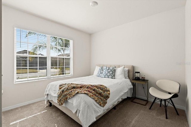 bedroom with carpet floors