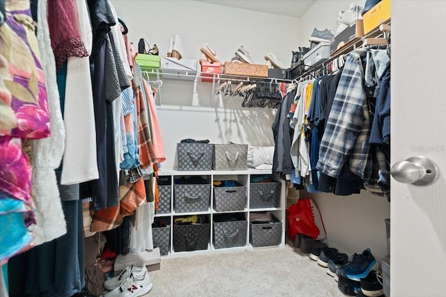 spacious closet with carpet flooring