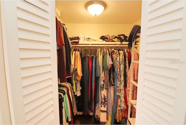 view of walk in closet