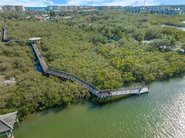 drone / aerial view with a water view and a wooded view