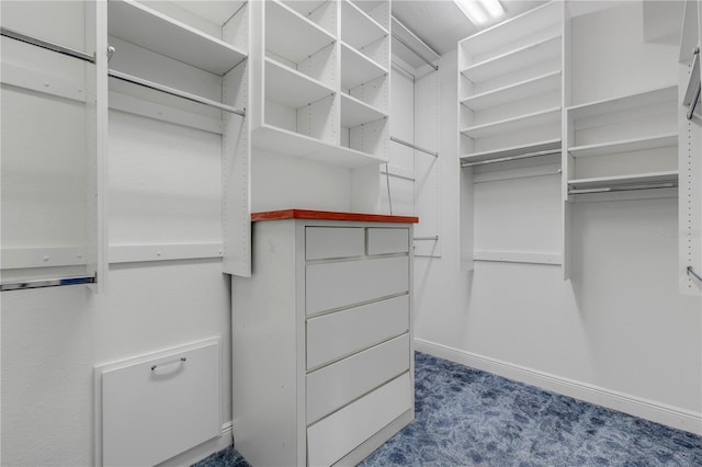 walk in closet featuring carpet