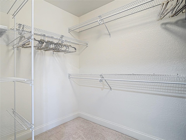 spacious closet with carpet floors