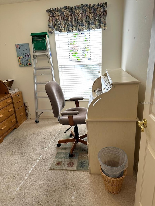 view of carpeted home office