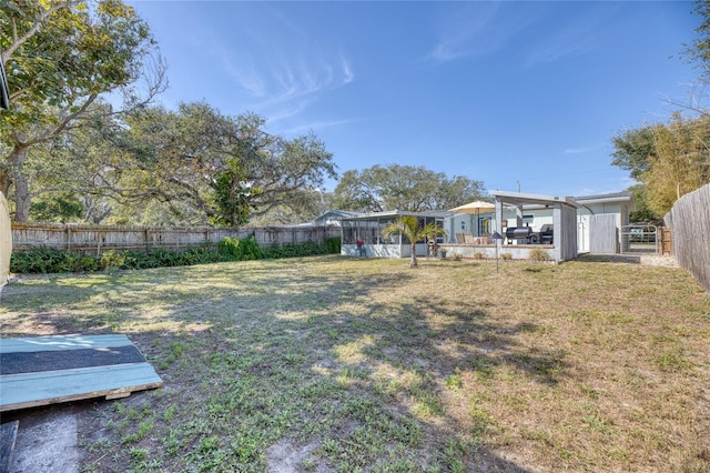 view of yard featuring a patio