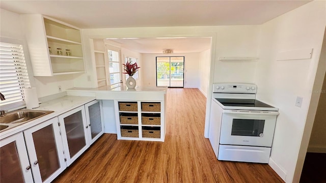 kitchen featuring dark hardwood / wood-style floors, sink, and white range with electric stovetop