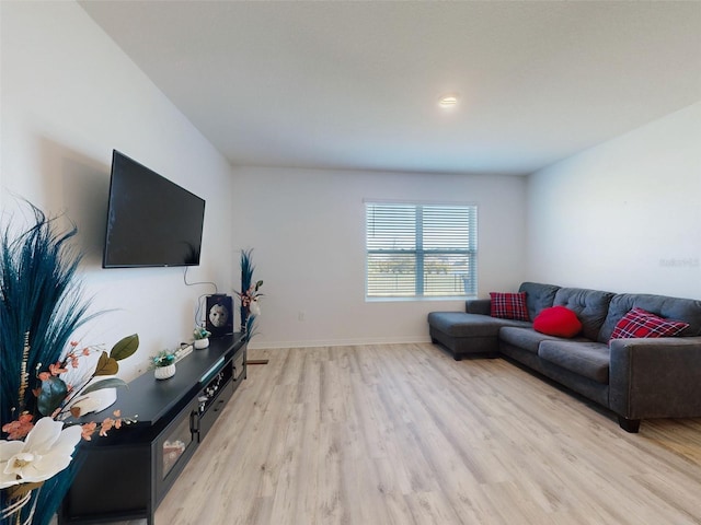 living room with light wood-type flooring