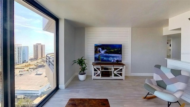 living room featuring light wood-type flooring