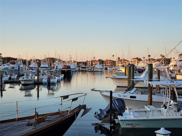 dock area featuring a water view