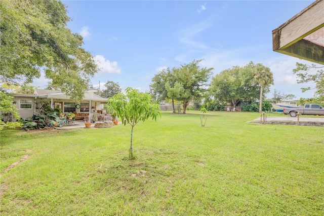 view of yard featuring a patio