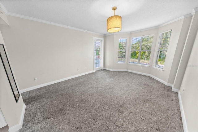 carpeted spare room with crown molding and a textured ceiling