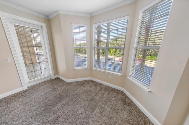 empty room featuring ornamental molding and carpet floors