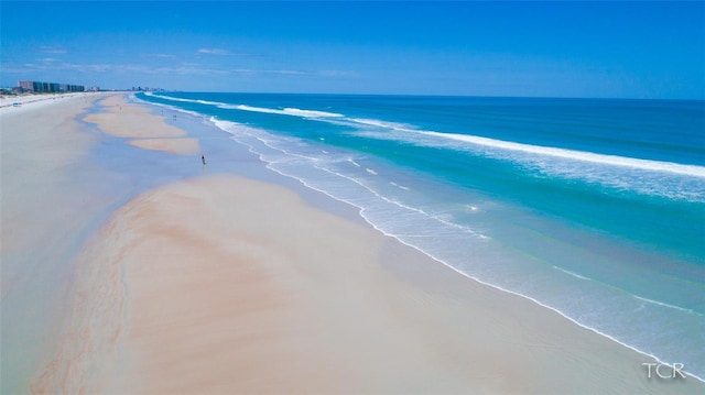 water view featuring a beach view