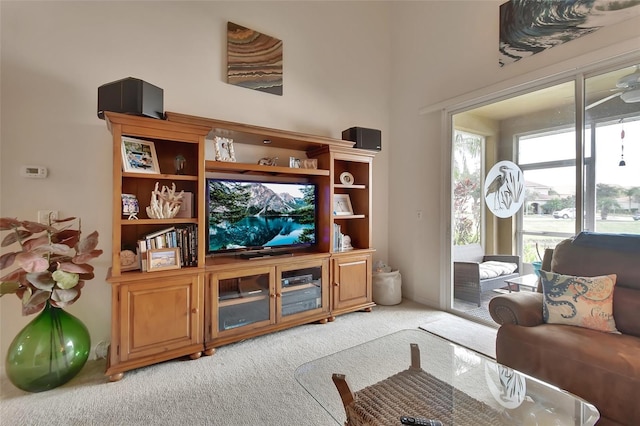 view of carpeted living room