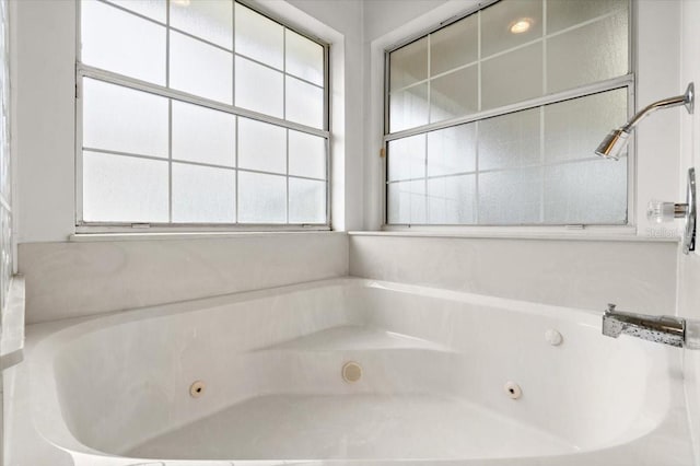 bathroom with a bathing tub