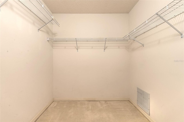 spacious closet with light colored carpet