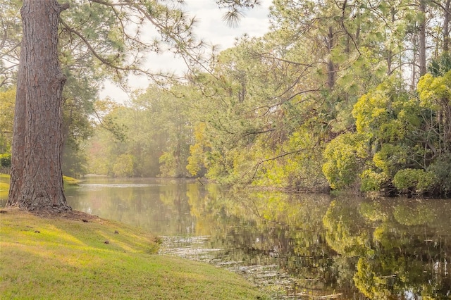 property view of water