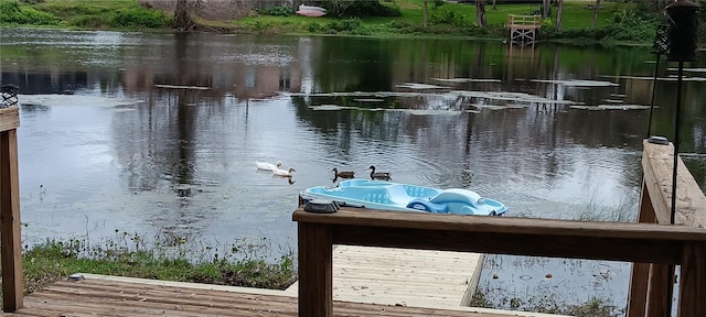 dock area with a water view