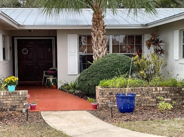 doorway to property featuring stucco siding, metal roof, and a standing seam roof