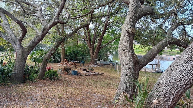 view of yard with a water view