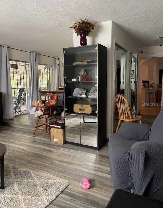 living area featuring wood finished floors and a textured ceiling