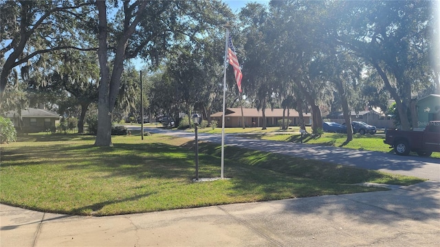 view of home's community with a yard