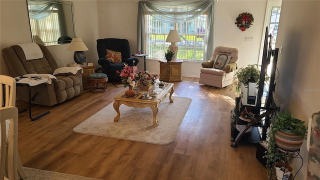 sitting room with hardwood / wood-style floors