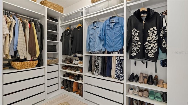 walk in closet with hardwood / wood-style flooring