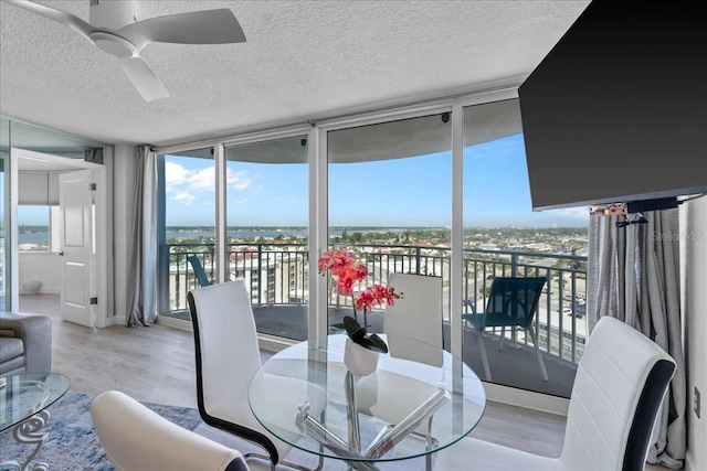 interior space featuring ceiling fan