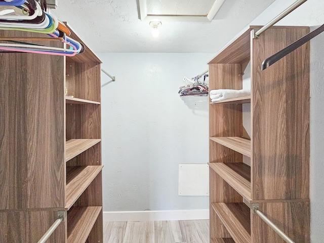 spacious closet featuring light wood-type flooring