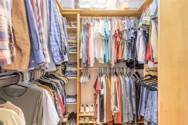 view of spacious closet