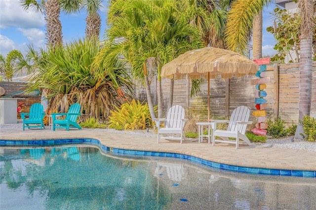 view of swimming pool featuring a patio area