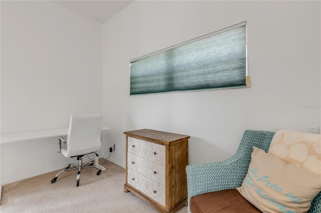 office with light carpet
