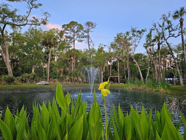 view of community with a water view