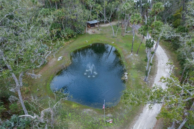 bird's eye view featuring a water view