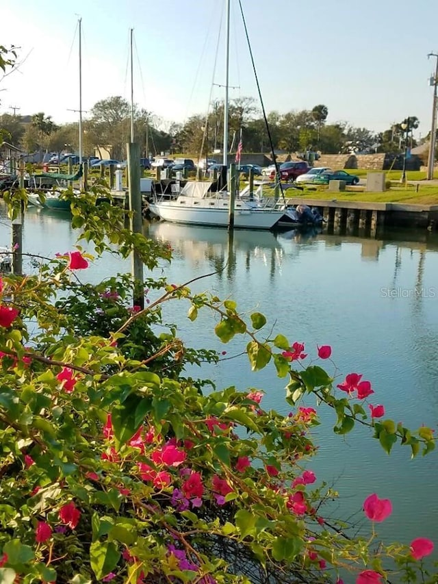26 Birdie Dr, New Smyrna Beach, FL 32168 - water view