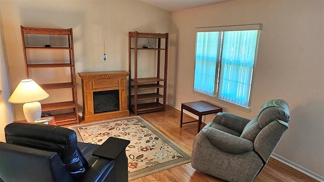 26 Birdie Dr, New Smyrna Beach, FL 32168 - living room featuring a fireplace, baseboards, and wood finished floors