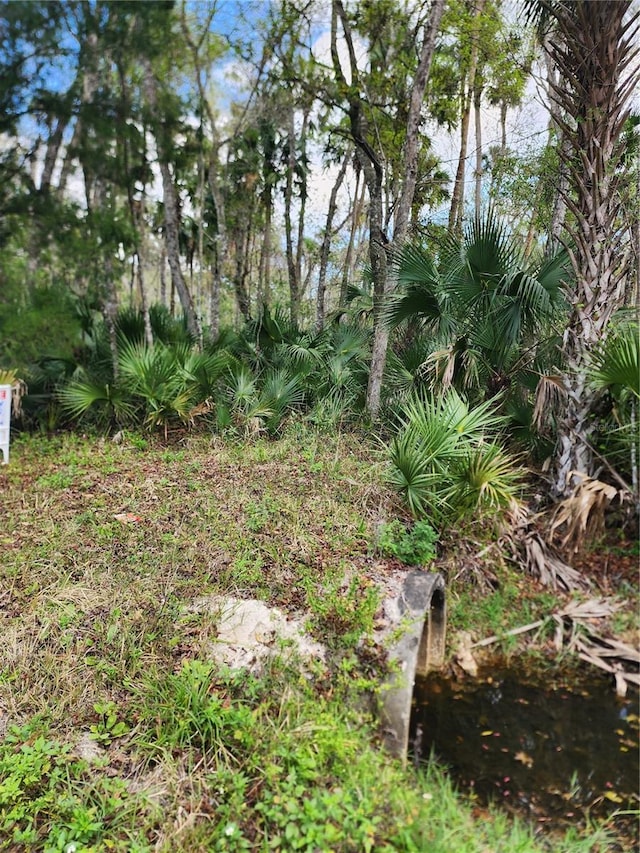 Old Mission Rd, Edgewater FL, 32132 land for sale