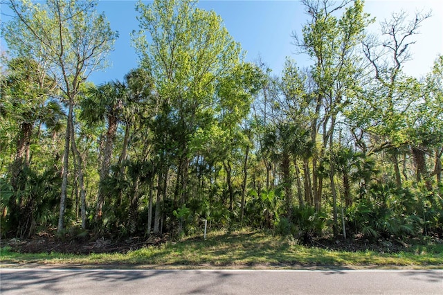 Old Mission Rd, Edgewater FL, 32132 land for sale