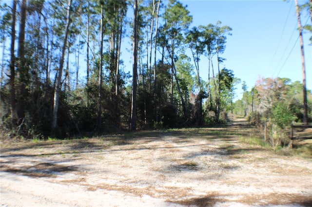 3991 Swamp Deer Rd, New Smyrna Beach FL, 32168 land for sale