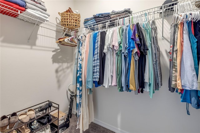 walk in closet with carpet flooring