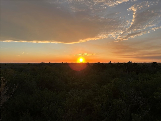 view of nature