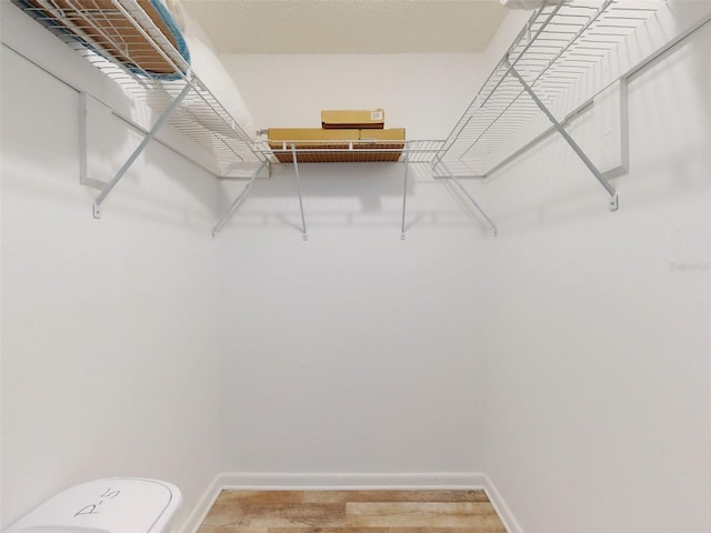 spacious closet featuring light wood-style flooring