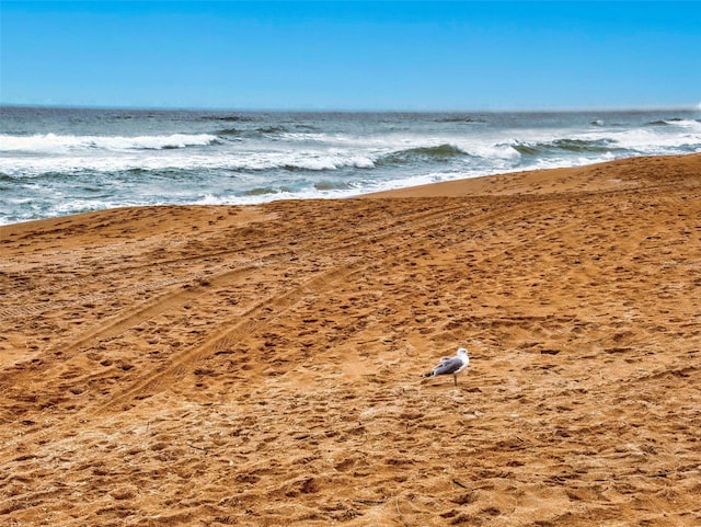 view of water feature with a beach view