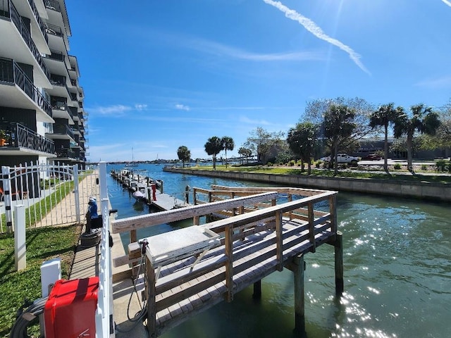 dock area with a water view