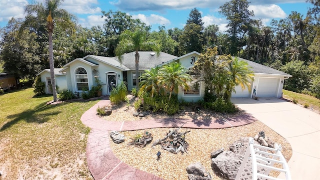 2576 Shilo Glynn Ln, New Smyrna Beach, FL 32168 - ranch-style house featuring a garage, concrete driveway, a front lawn, stucco siding, and view of scattered trees