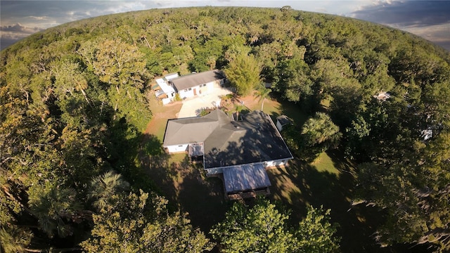 2576 Shilo Glynn Ln, New Smyrna Beach, FL 32168 - aerial view of property and surrounding area featuring a forest