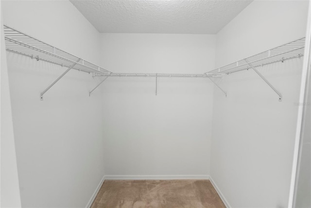 spacious closet featuring light carpet