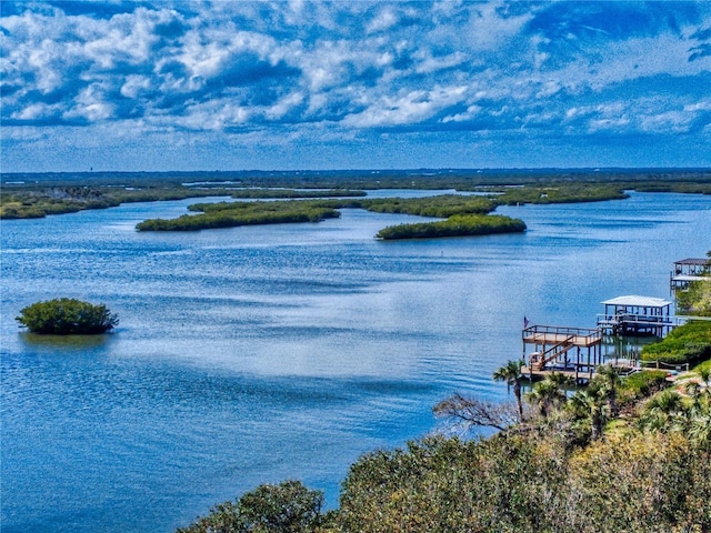 property view of water with a boat dock